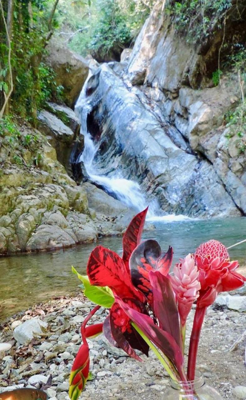 Glamping Finca Margaritas Pluma Hidalgo Ngoại thất bức ảnh