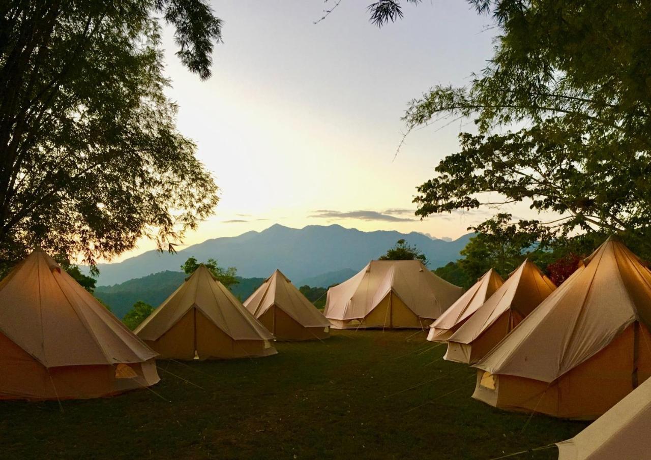 Glamping Finca Margaritas Pluma Hidalgo Ngoại thất bức ảnh