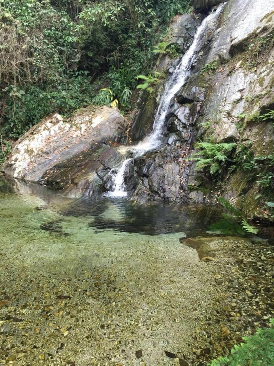 Glamping Finca Margaritas Pluma Hidalgo Ngoại thất bức ảnh